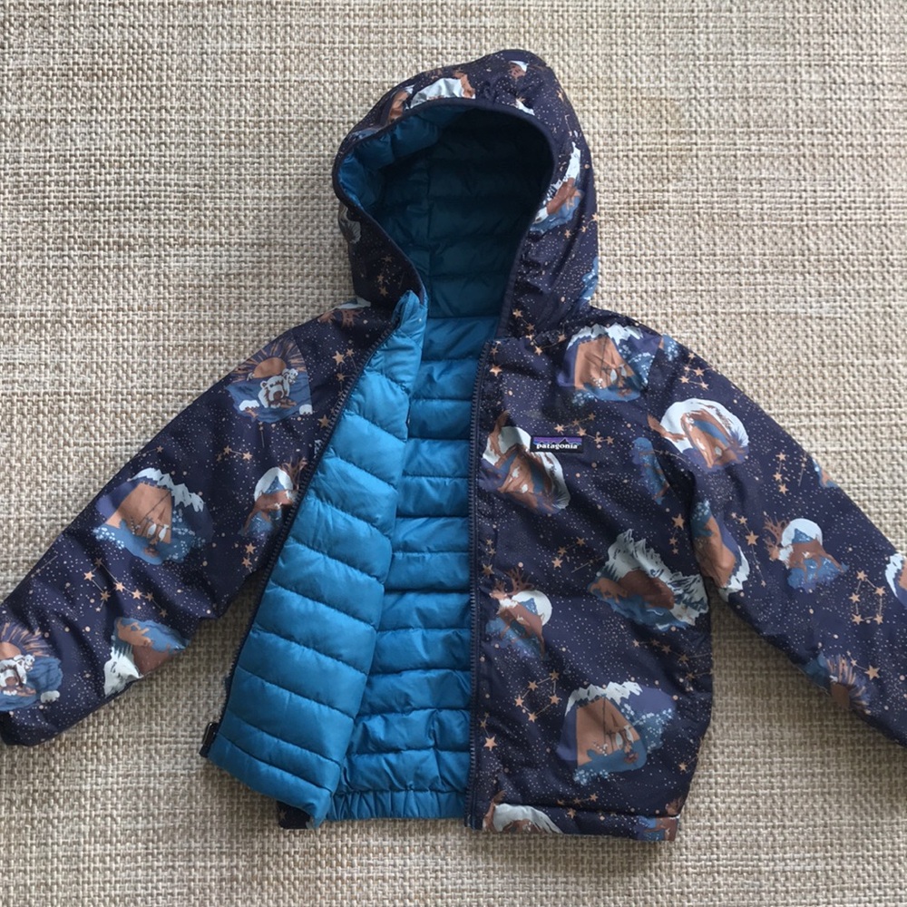 *Patagonia Reversible Puffer Jacket